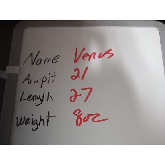 Venus‎ Blouse Ladies 1x Colorful - Picture 6 of 6